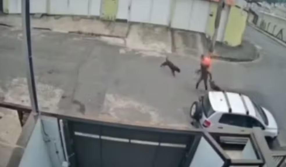 Trabalhador salva cachorro e tutora de ataque de pitbull em Juiz de Fora